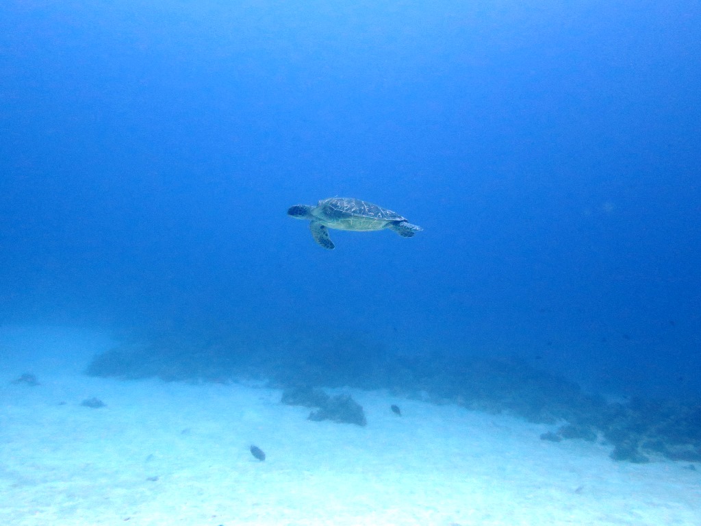 20170228fun04