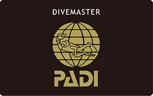 PADI ダイブマスター