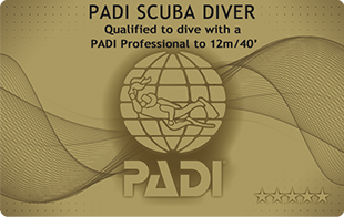 PADI スクーバ・ダイバー