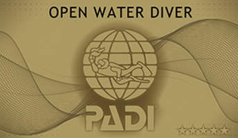 PADI オープン・ウォーター・ダイバー・コース