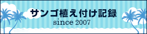 サンゴ植え付け記録