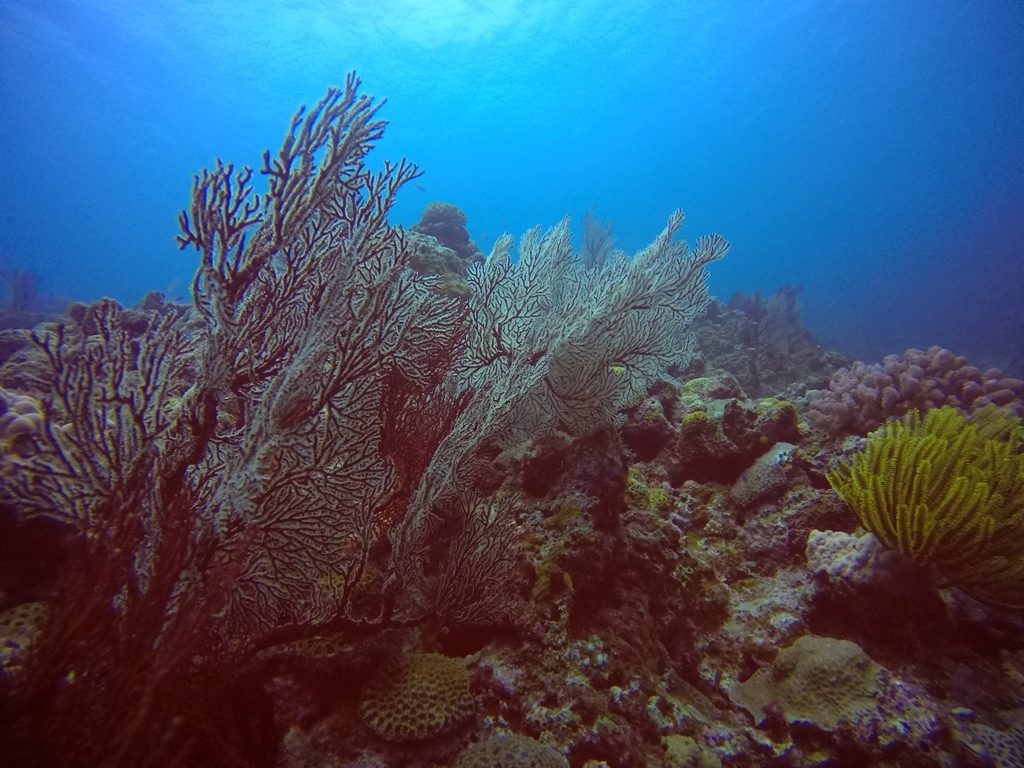 DCIM102GOPROGOPR3041.JPG