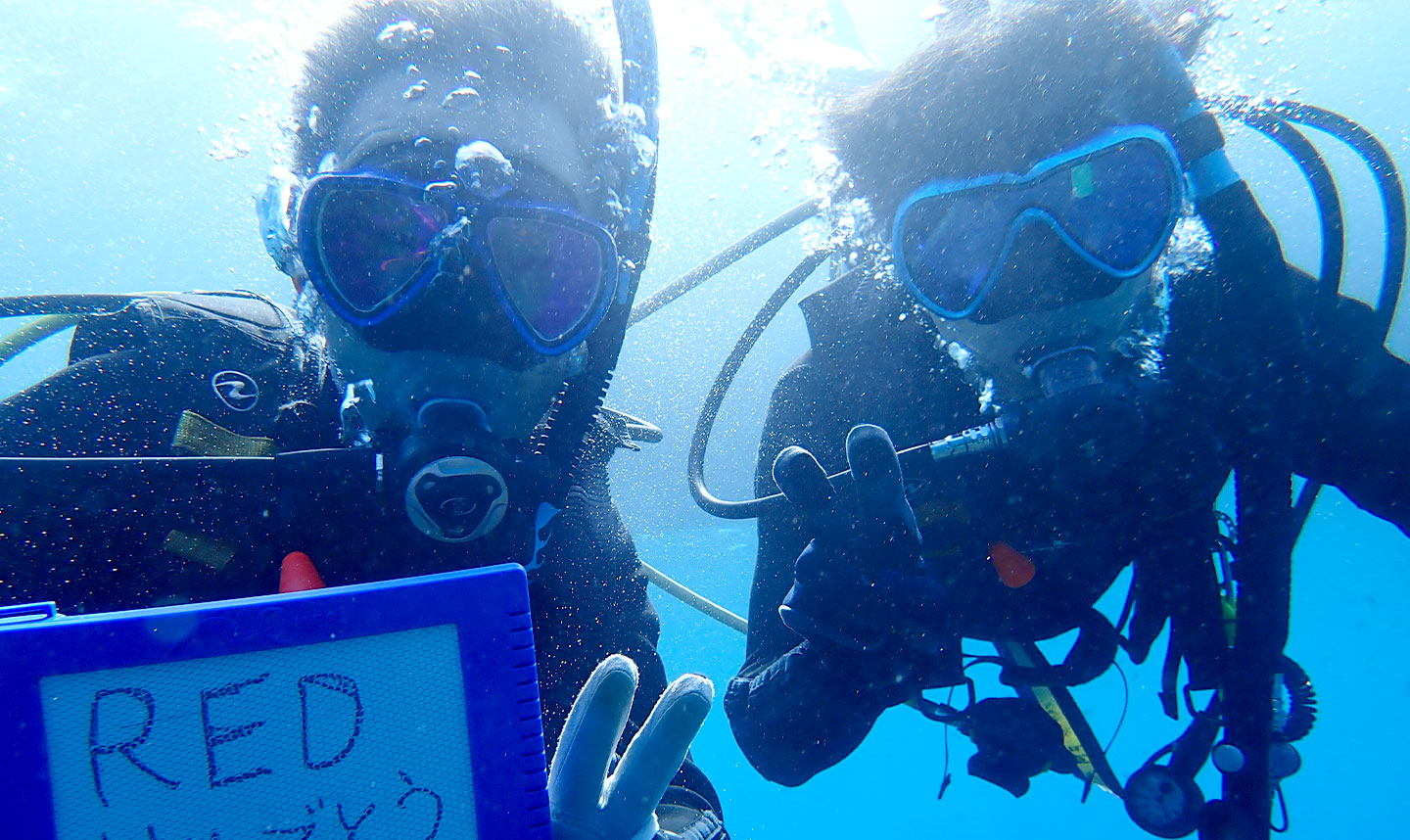 PADI レスキュー・ダイバー 青沼和廣