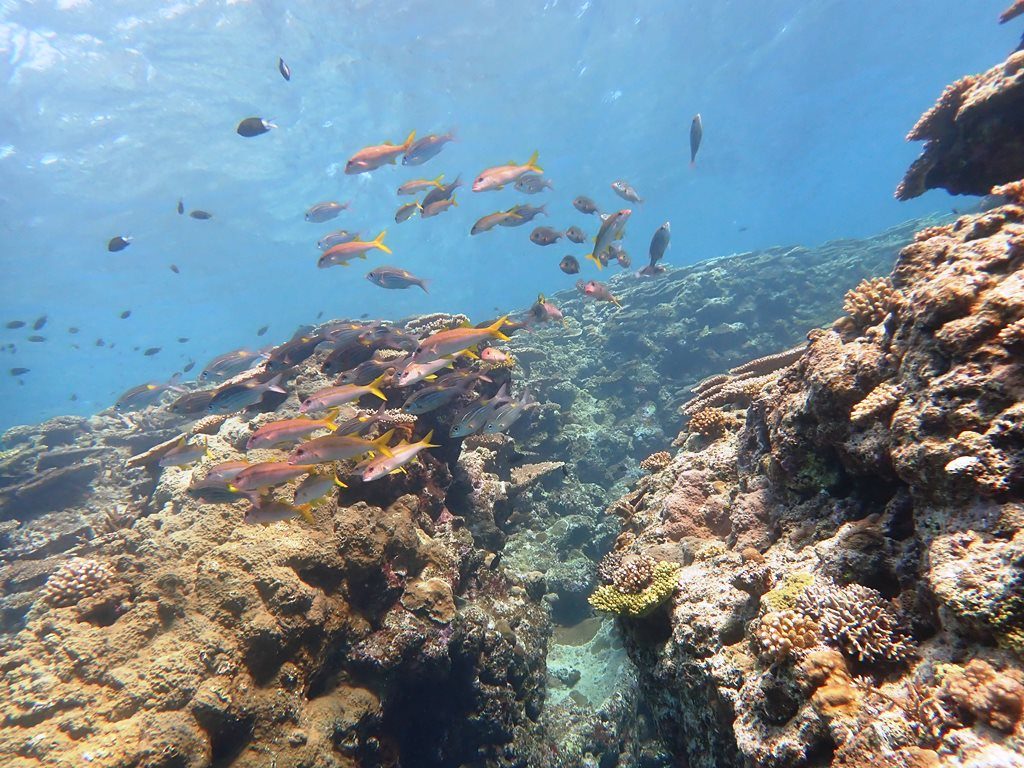 p1020322