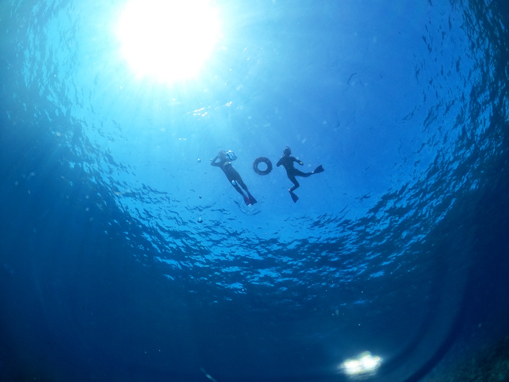 DCIM100GOPROGOPR4481.JPG
