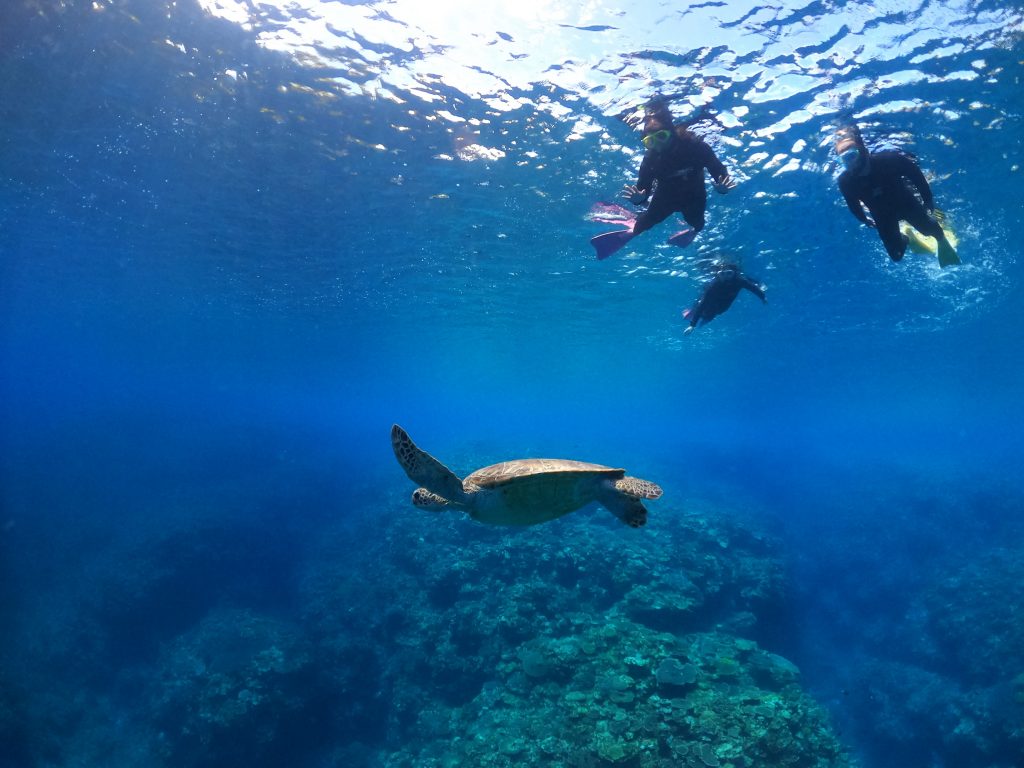 DCIM100GOPROGOPR6263.JPG