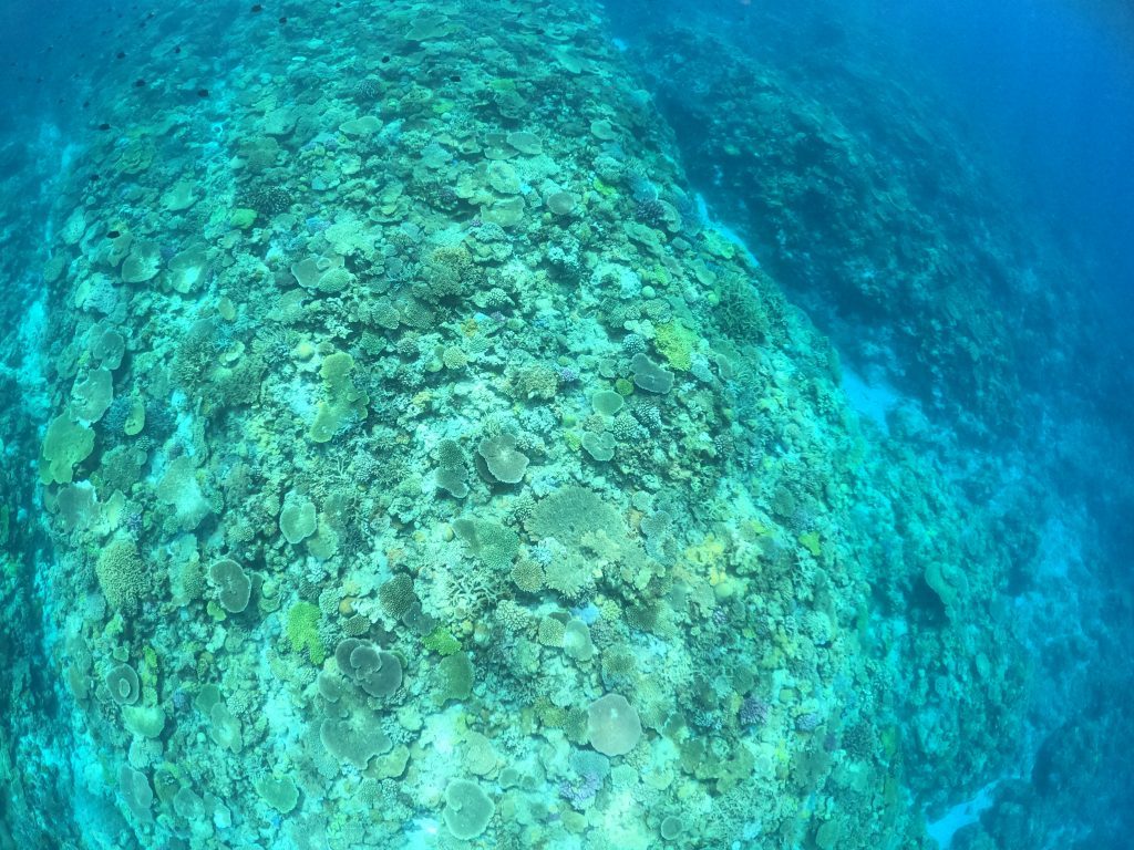 DCIM100GOPROGOPR8347.JPG