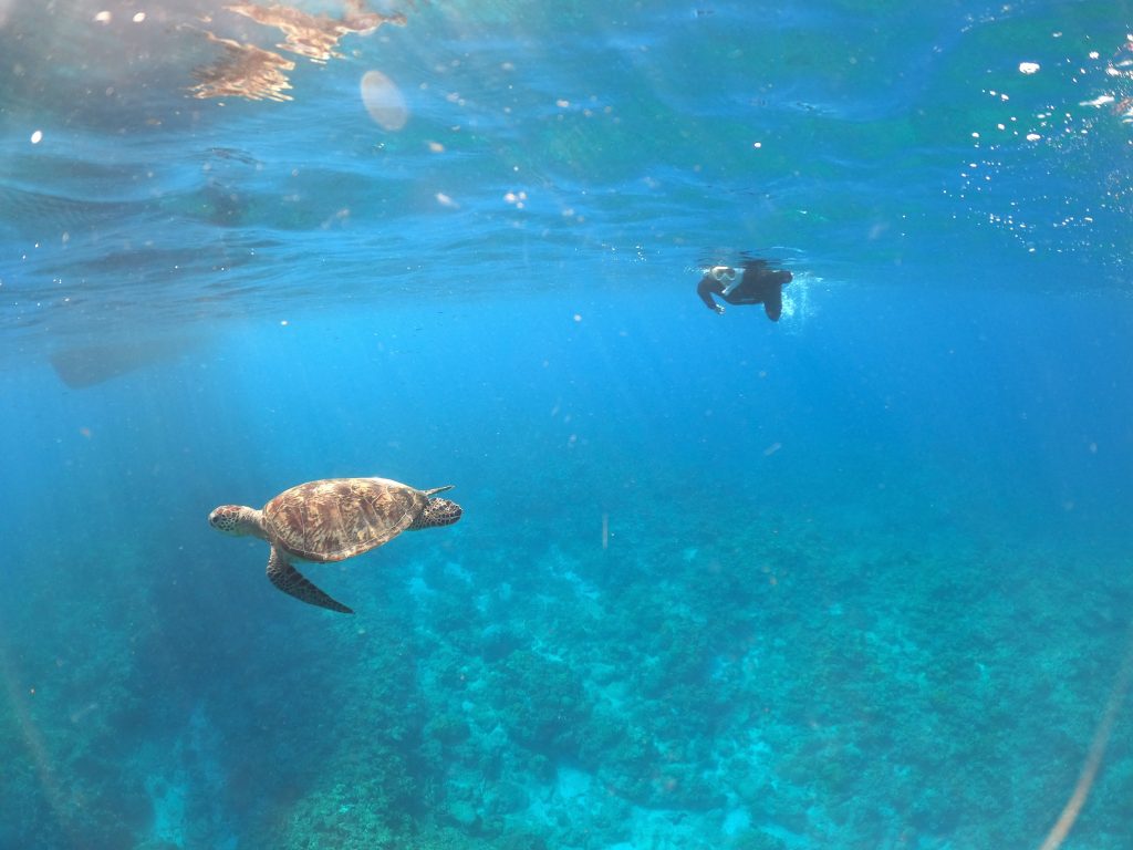 DCIM100GOPROGOPR8408.JPG