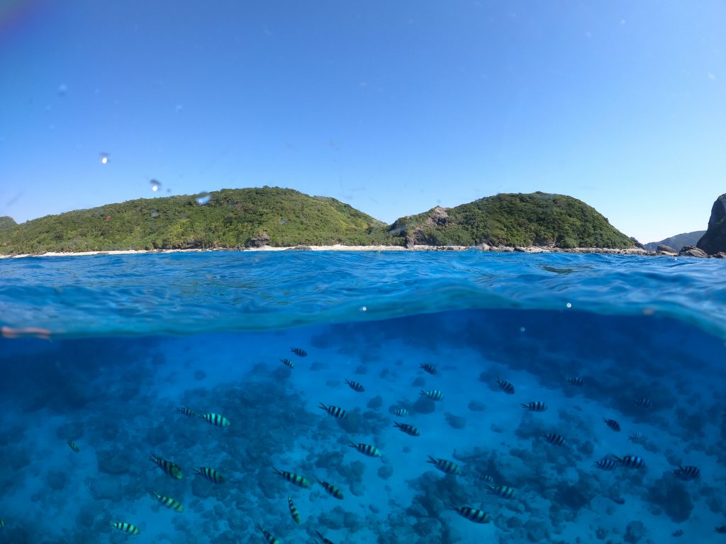 DCIM100GOPROGOPR9448.JPG