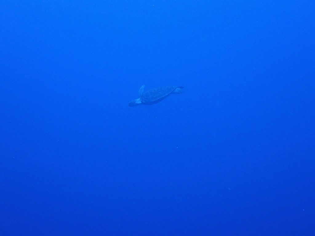 pc300012