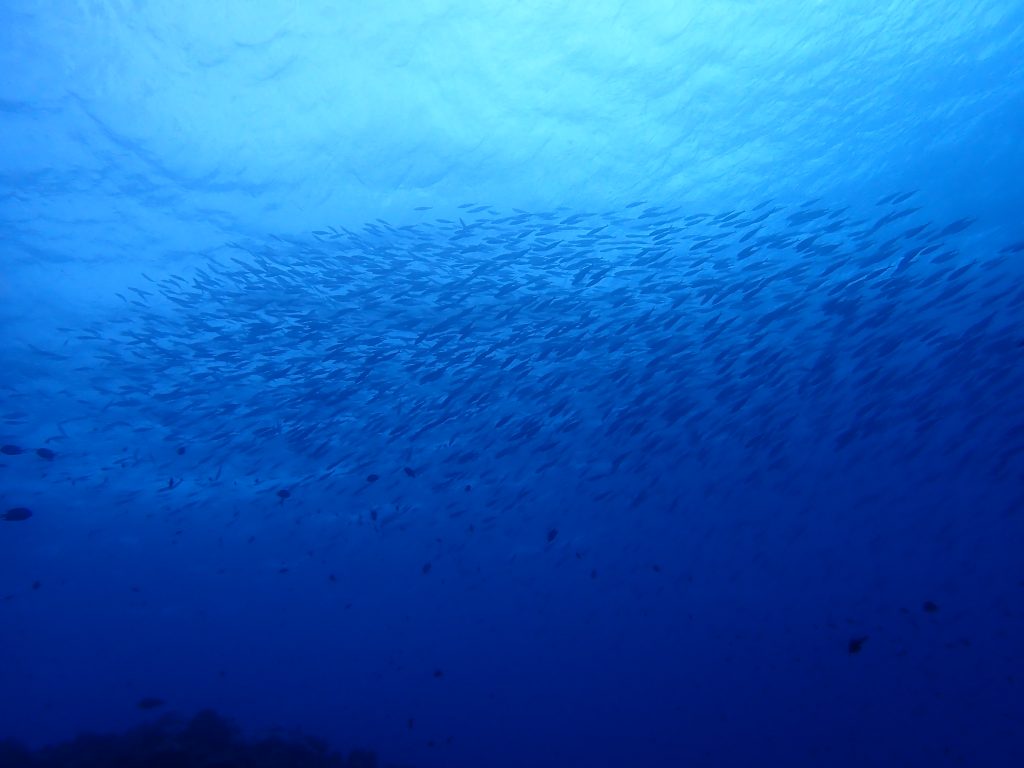 p1080073