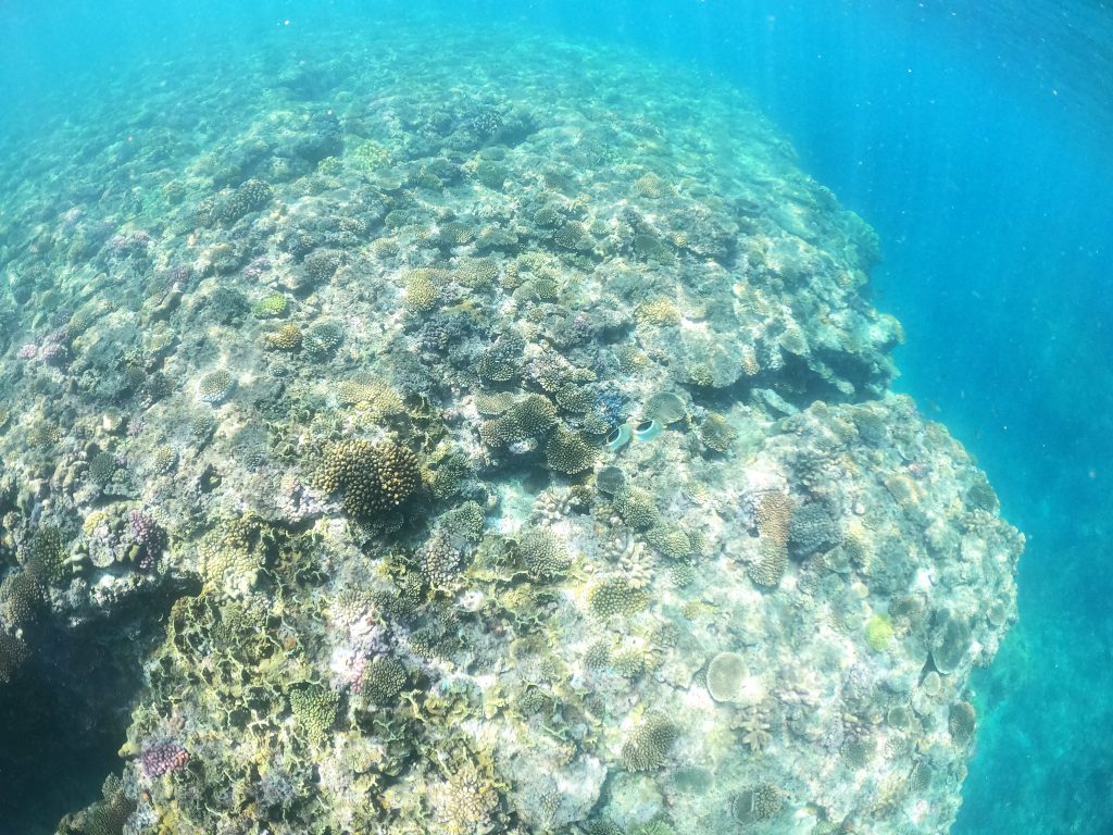 DCIM100GOPROGOPR3226.JPG