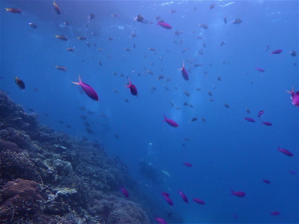 p6060120