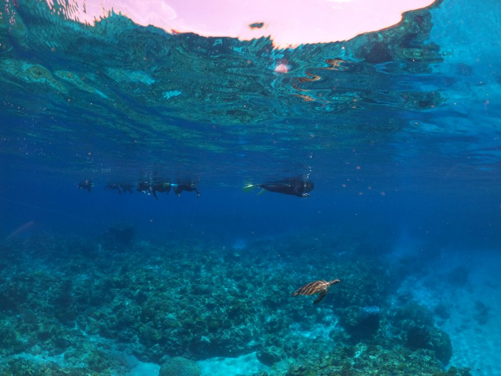 DCIM100GOPROGOPR4316.JPG