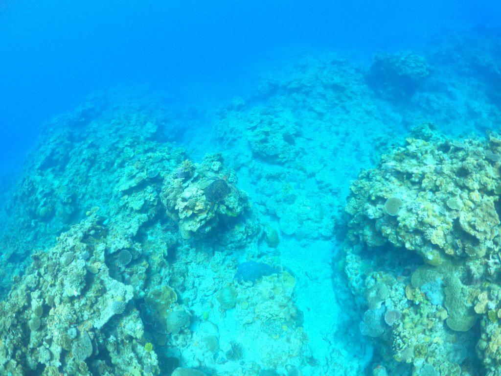 DCIM100GOPROGOPR4431.JPG