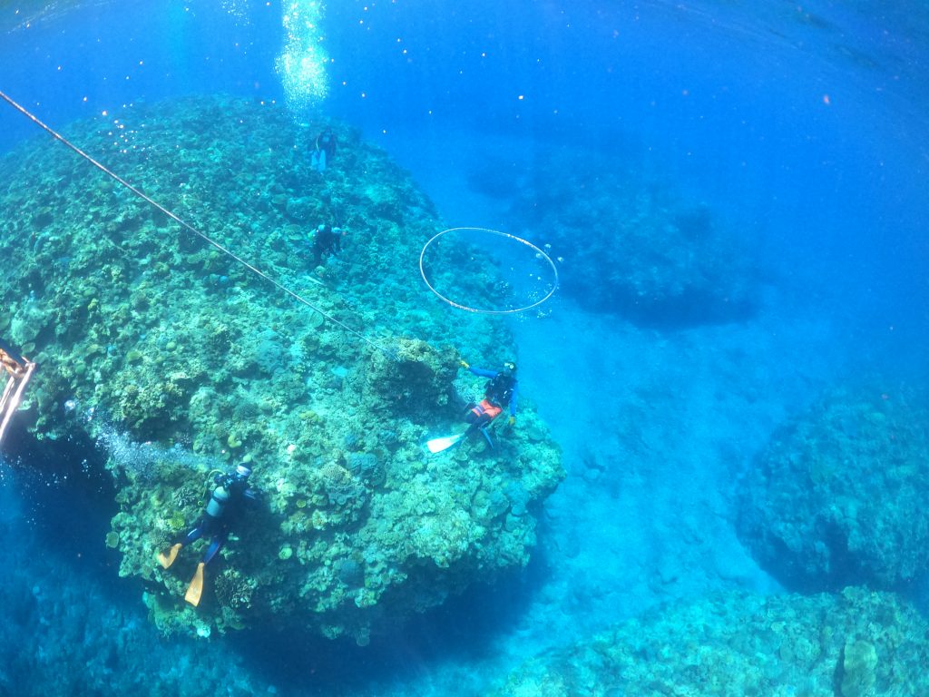 DCIM100GOPROGOPR4863.JPG
