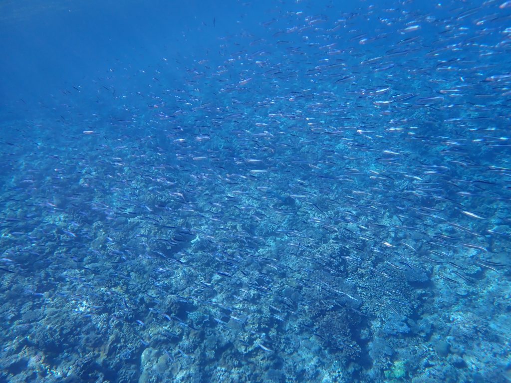 p7130014