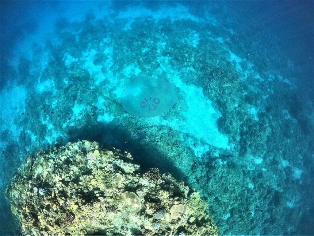 DCIM100GOPROGOPR5638.JPG