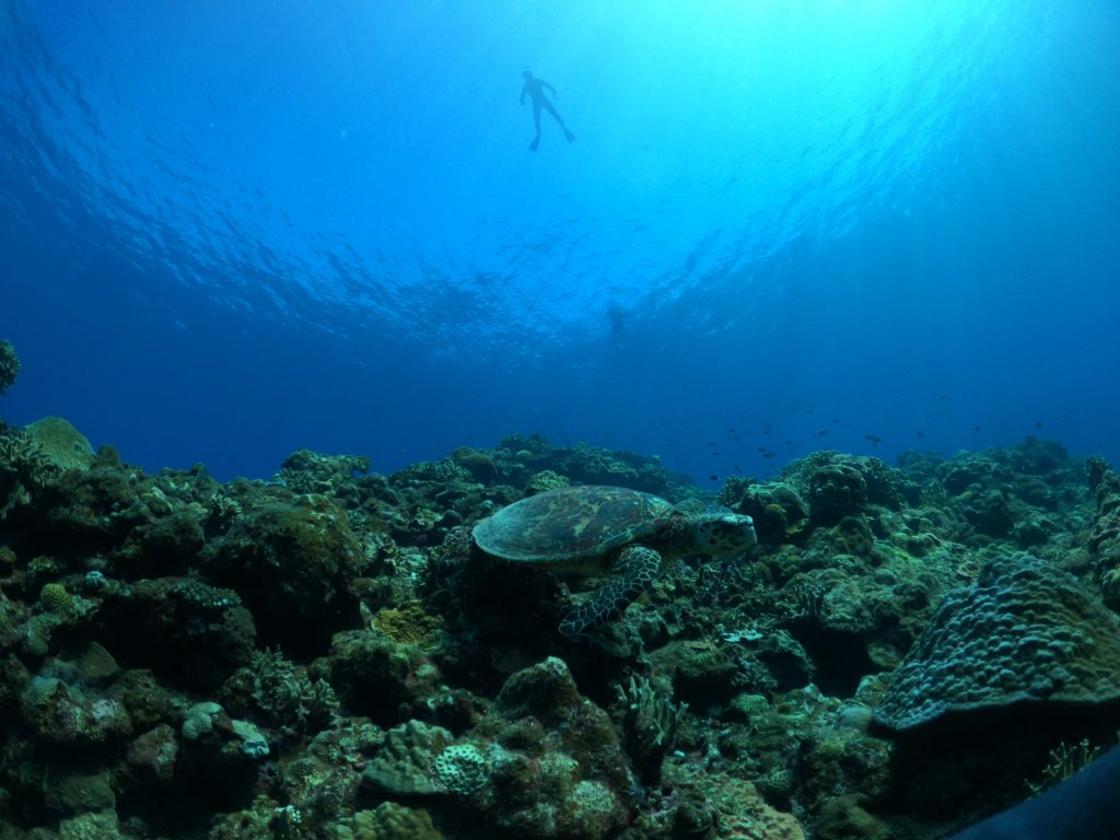 DCIM100GOPROGOPR1059.JPG
