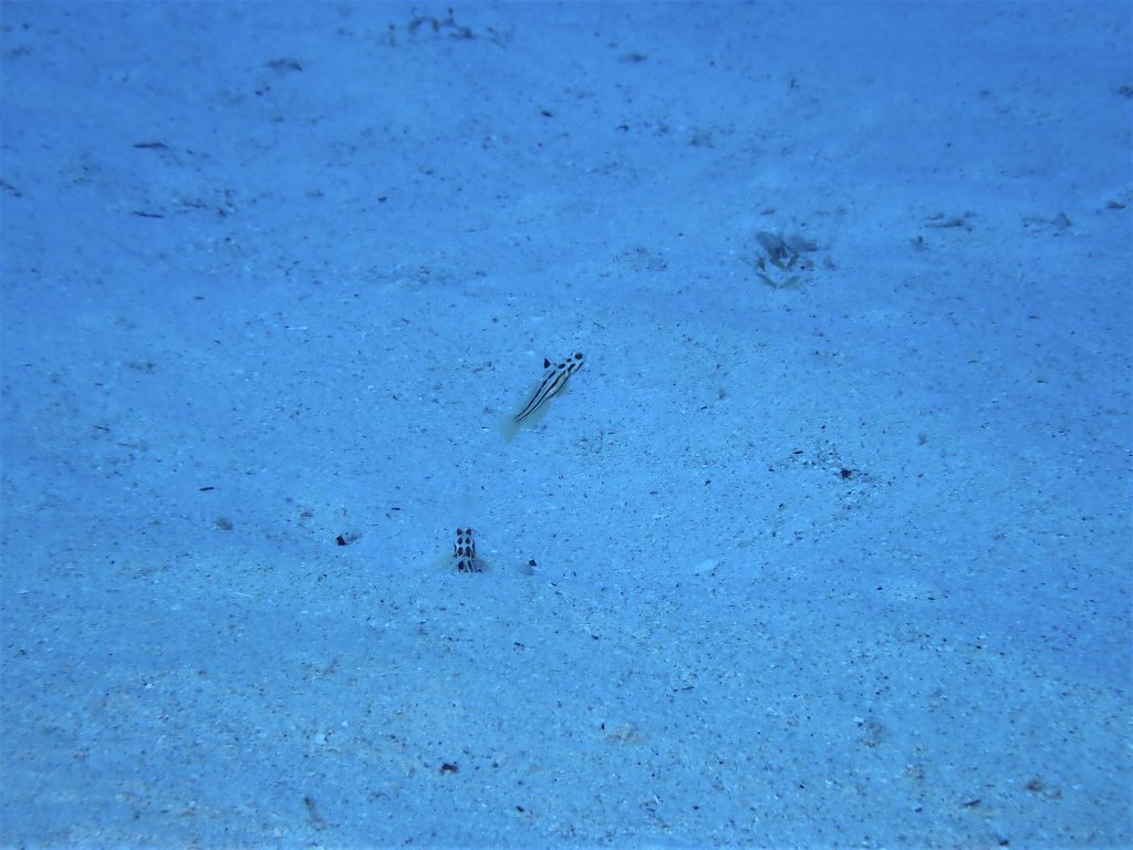 p9160086