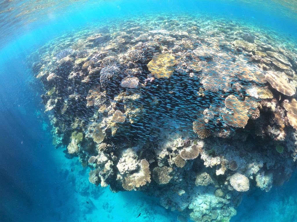DCIM100GOPROGOPR1201.JPG
