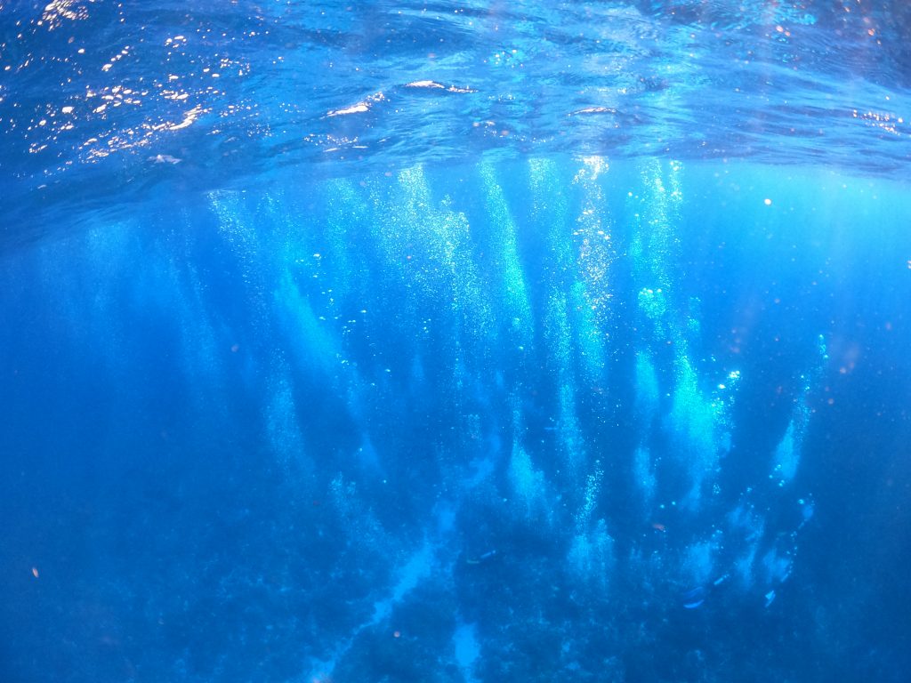 DCIM100GOPROGOPR2342.JPG