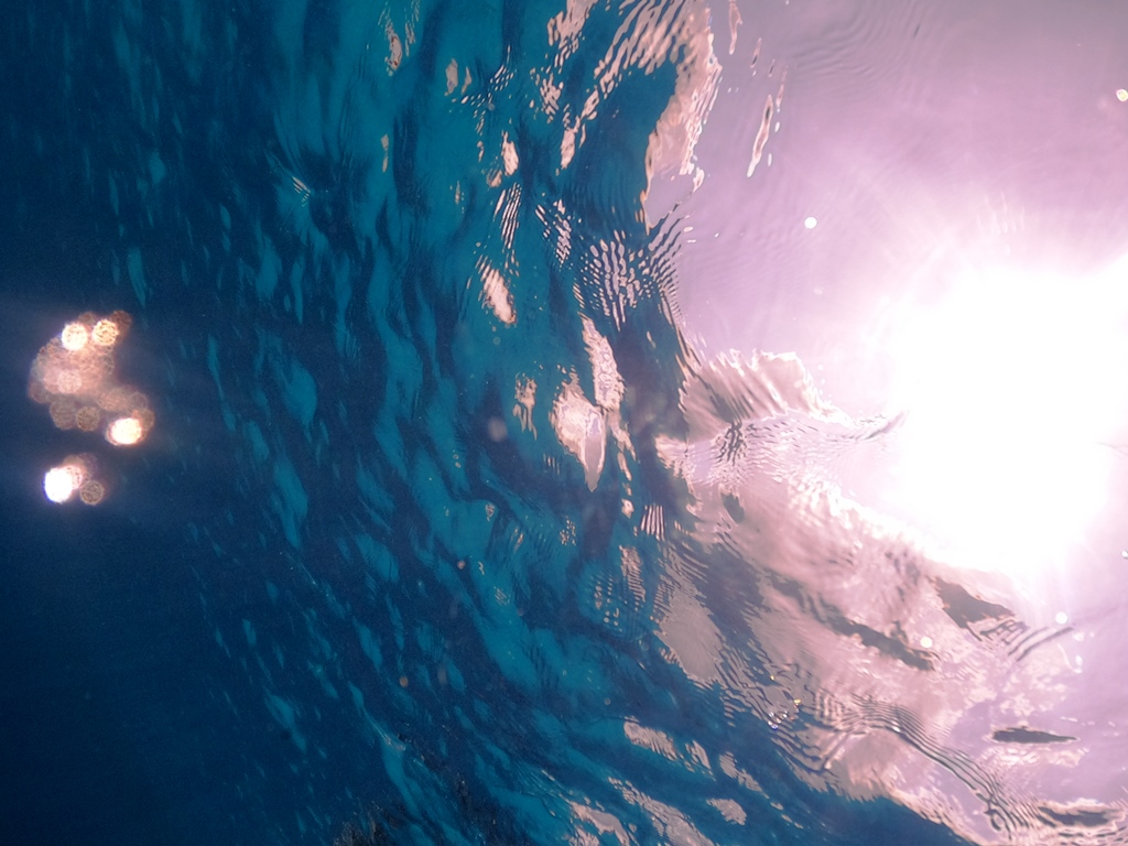 DCIM100GOPROGOPR2876.JPG