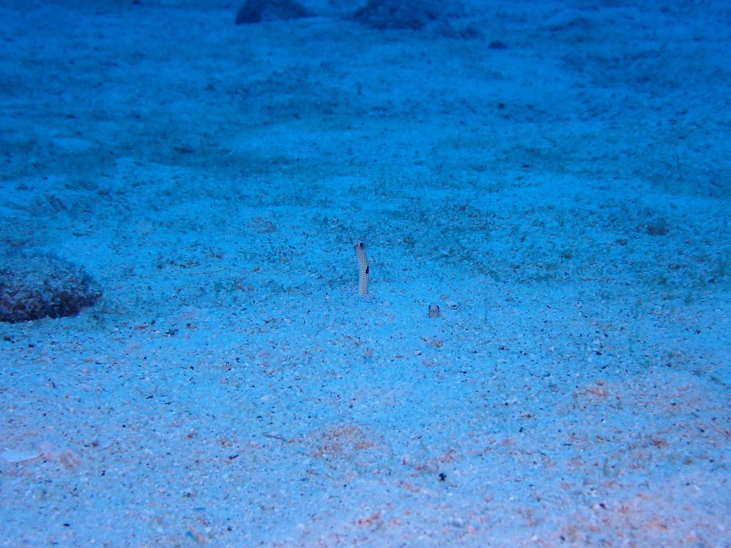 p3280009