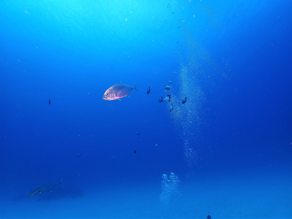 p6230086