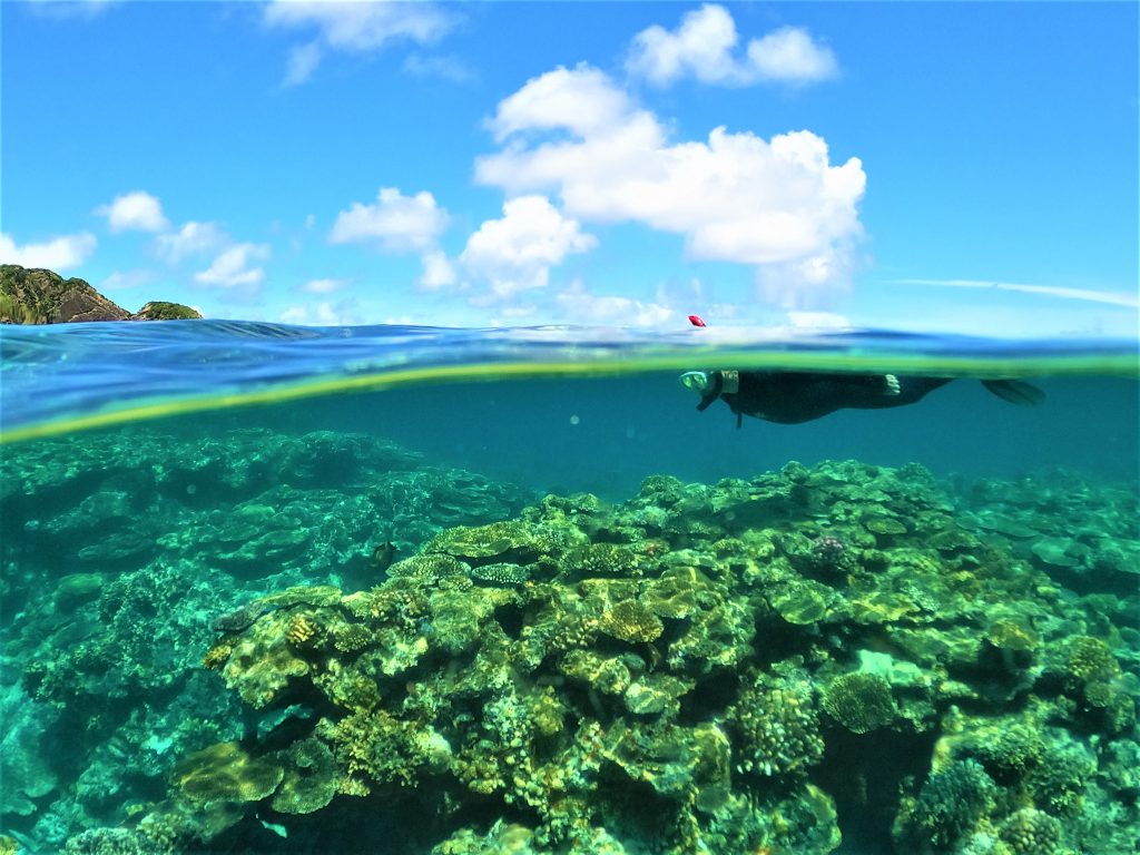 DCIM100GOPROGOPR3138.JPG