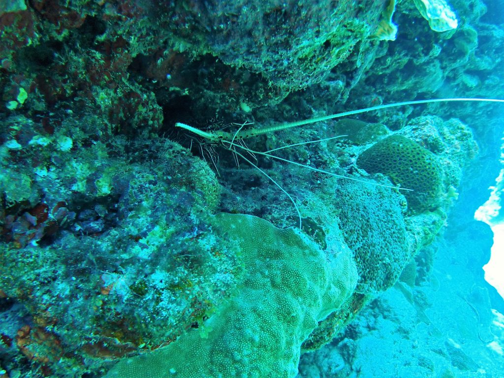 p8170880