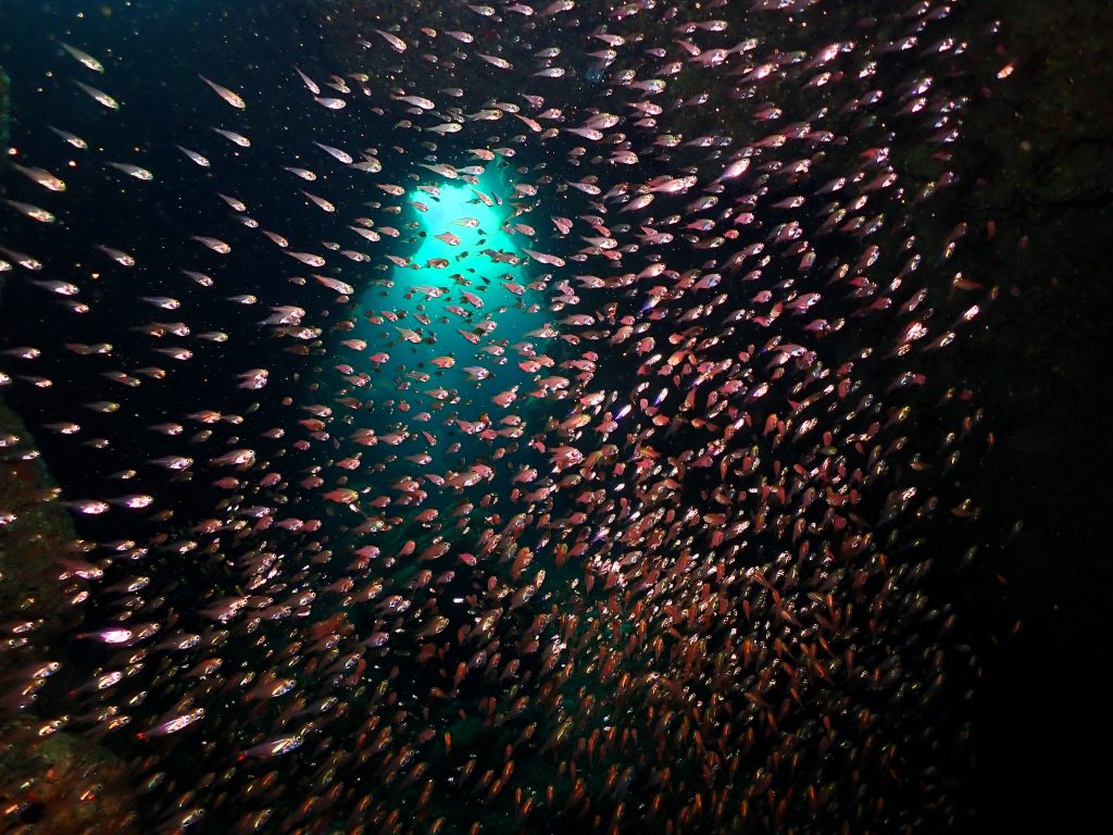 p6070128