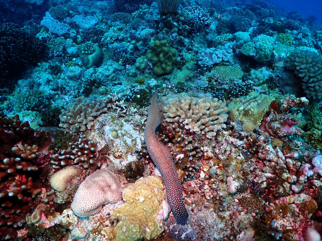 p6080276