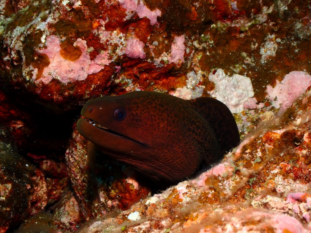 p6080303