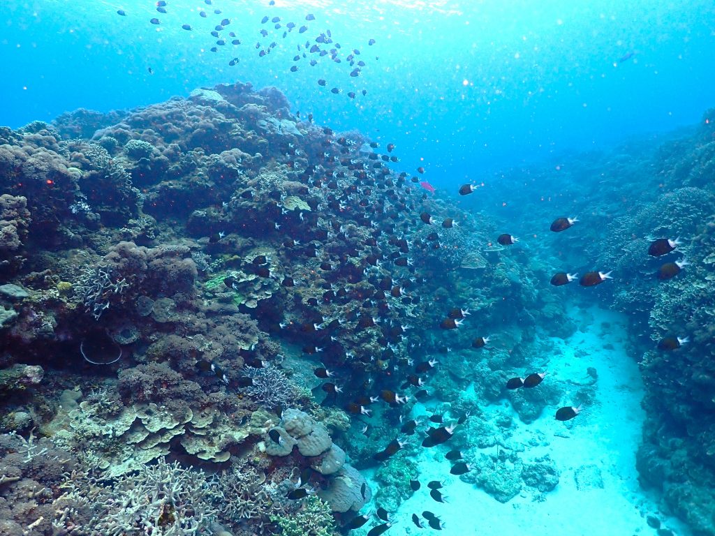 p6140100