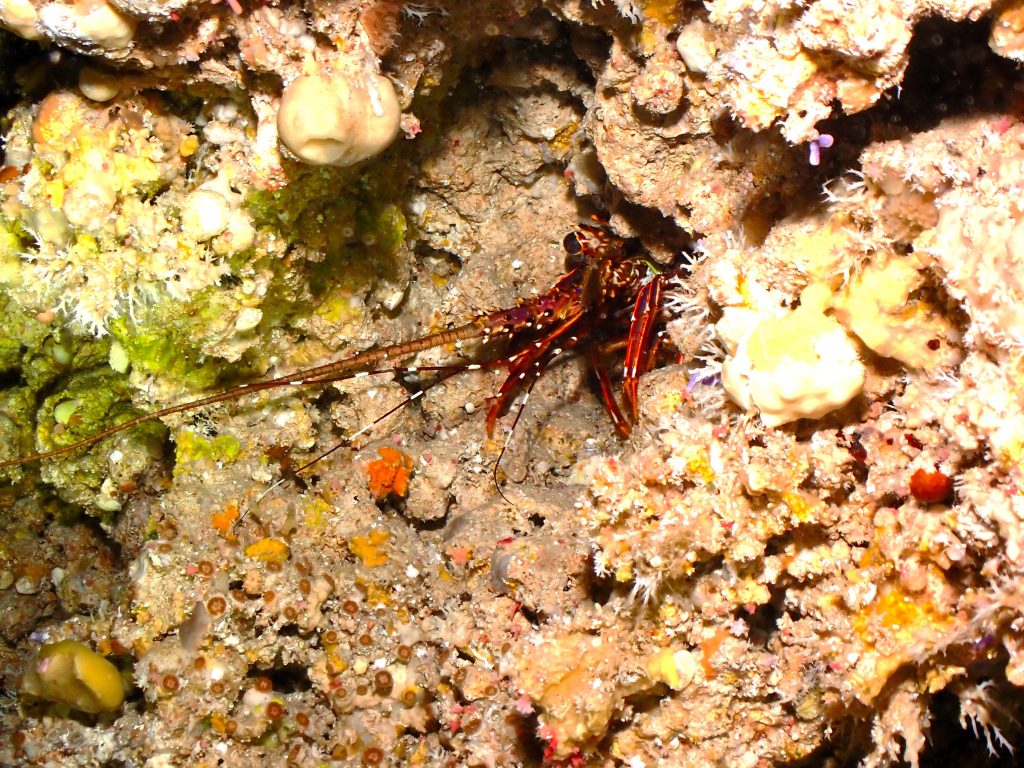 p6140115