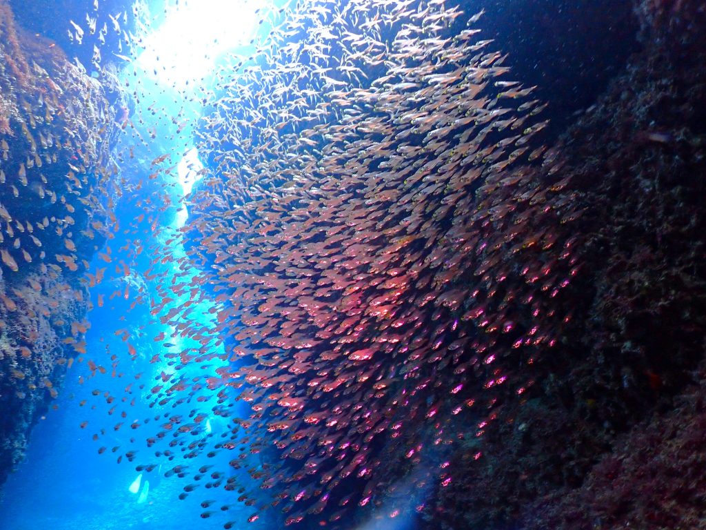 p6150249