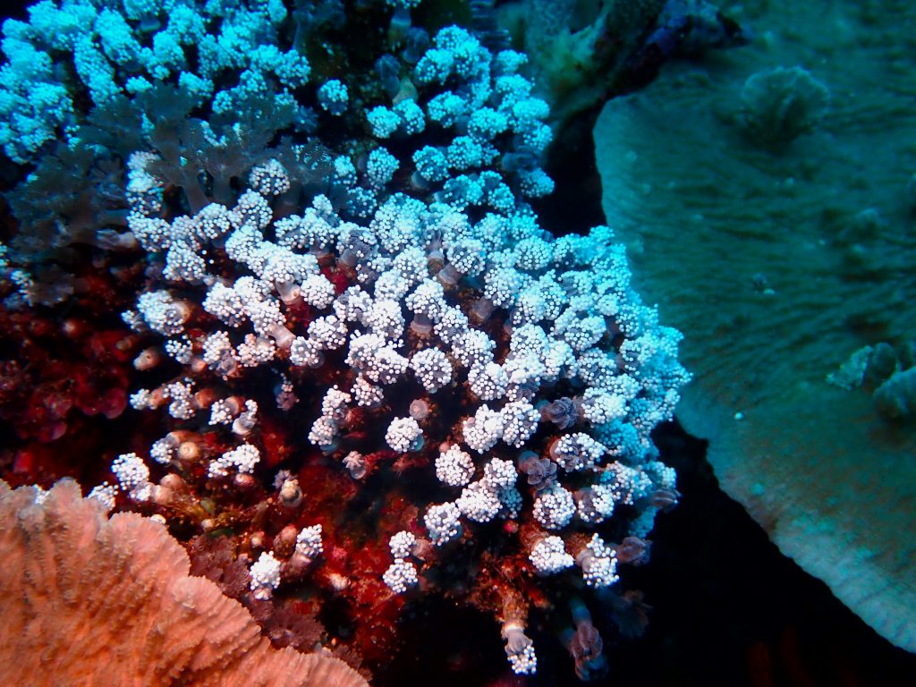 p6160531