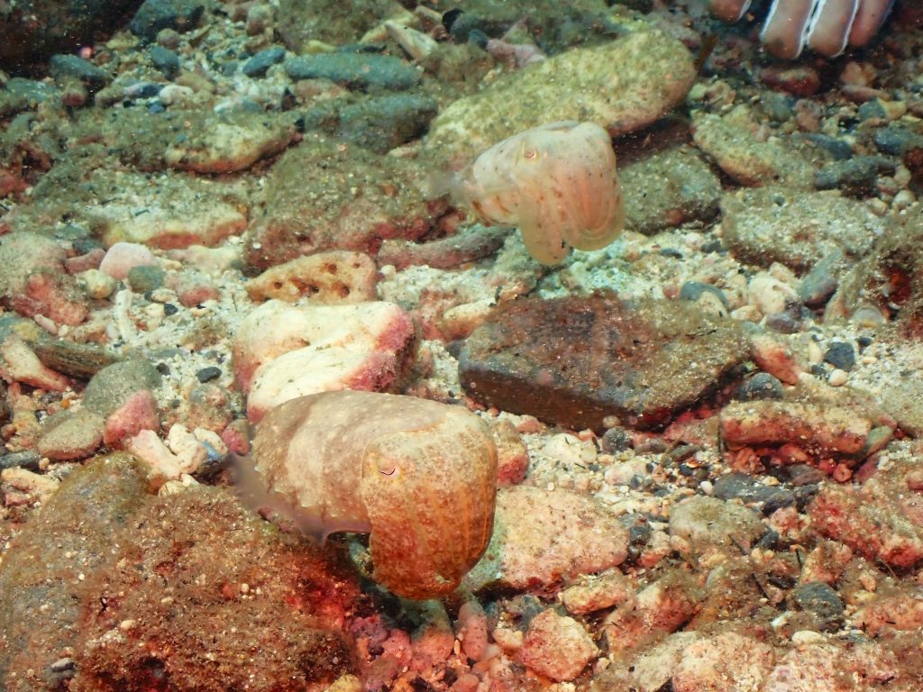 p6220560