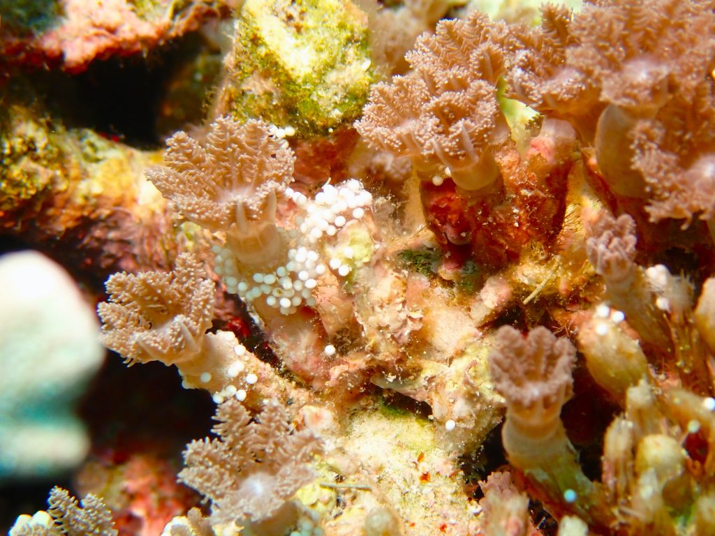p6240017