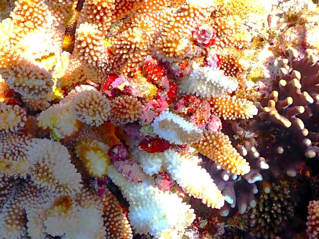 p6260213
