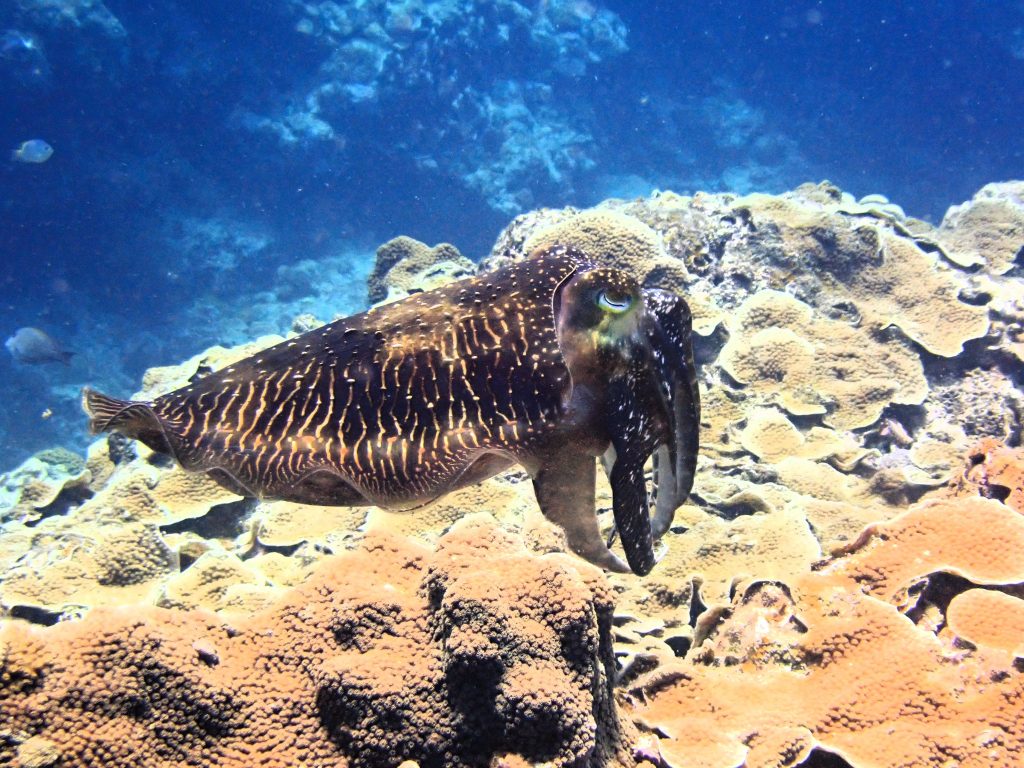 p6260292
