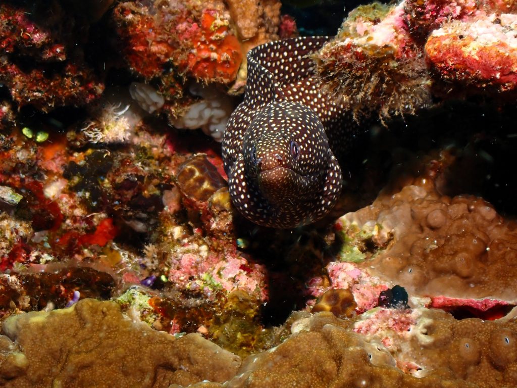 p6270370