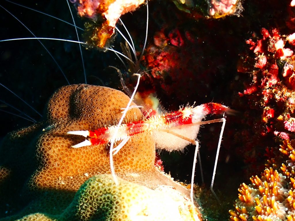 p6270401