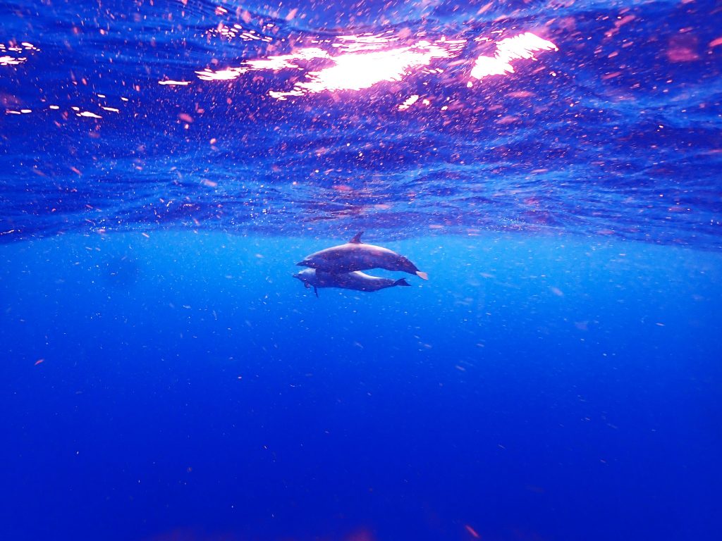 p6280484