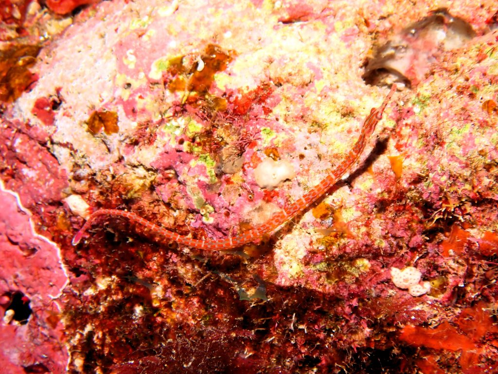 p6280578