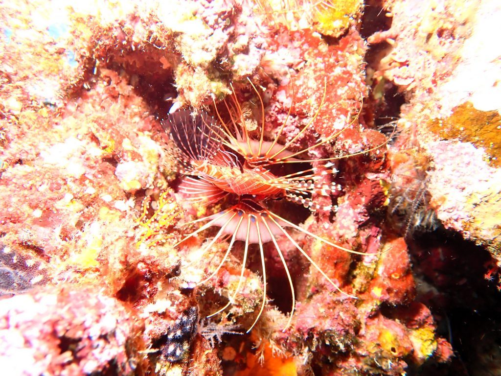 p6300021