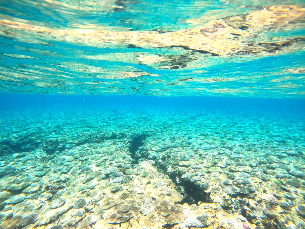 DCIM100GOPROGOPR3611.JPG