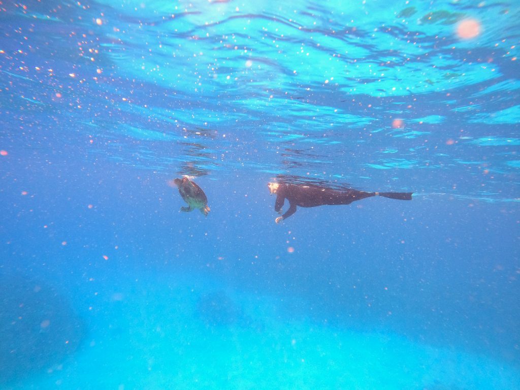 DCIM100GOPROGOPR3651.JPG