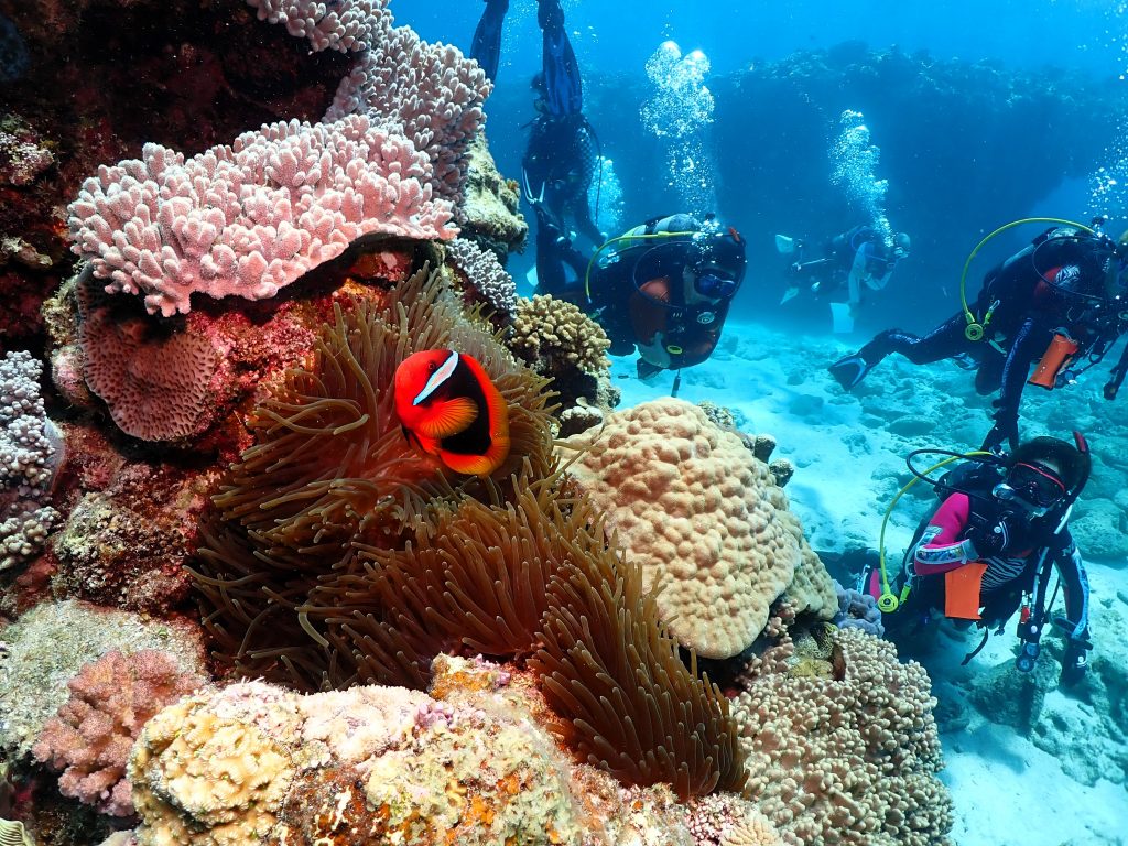 p7050175